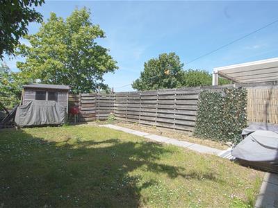 Picture 14